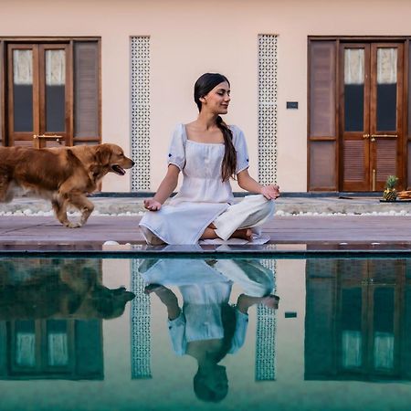 Parijat Private Pool Villa 1, 2 And 3 Bhk Udaipur Eksteriør billede