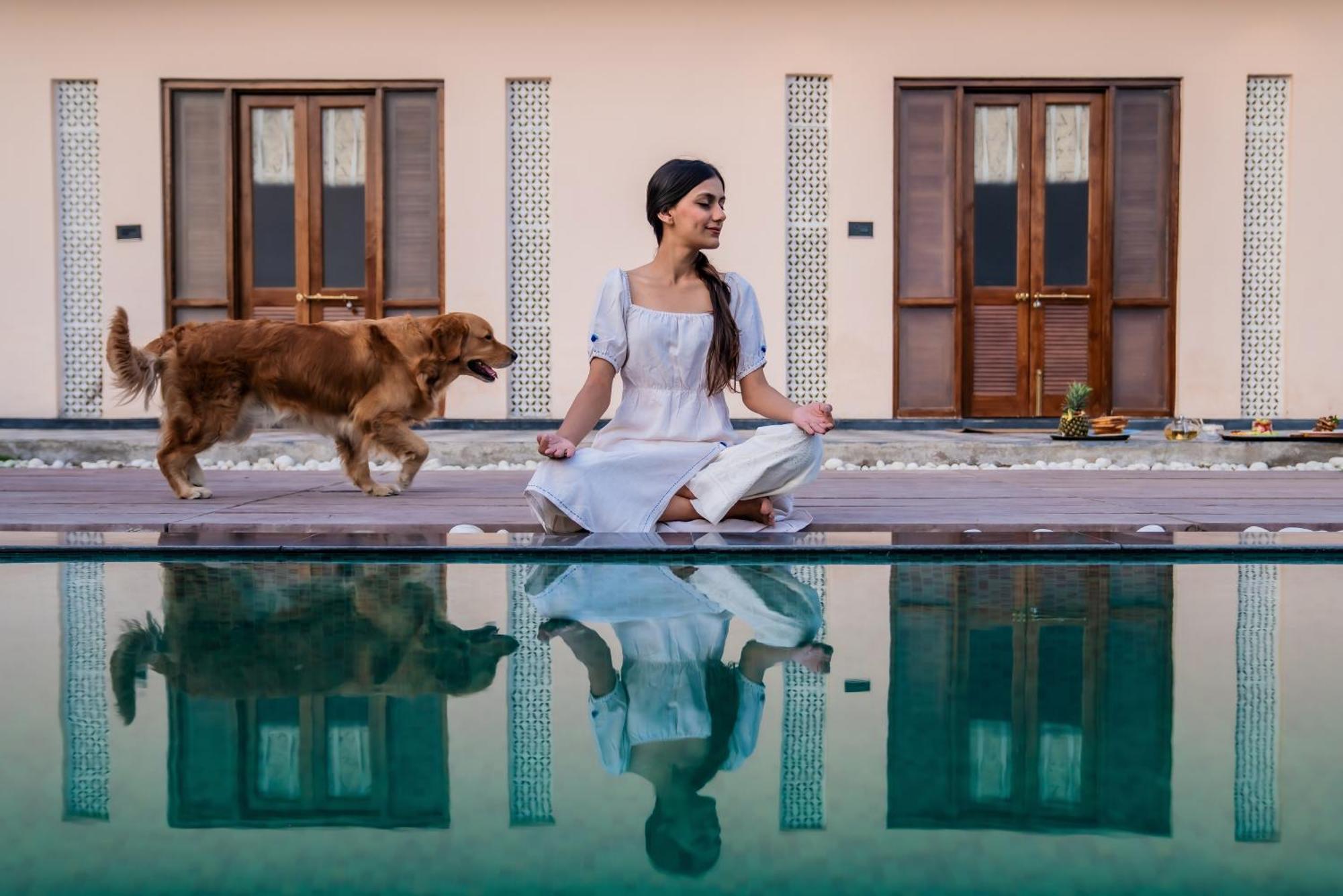 Parijat Private Pool Villa 1, 2 And 3 Bhk Udaipur Eksteriør billede